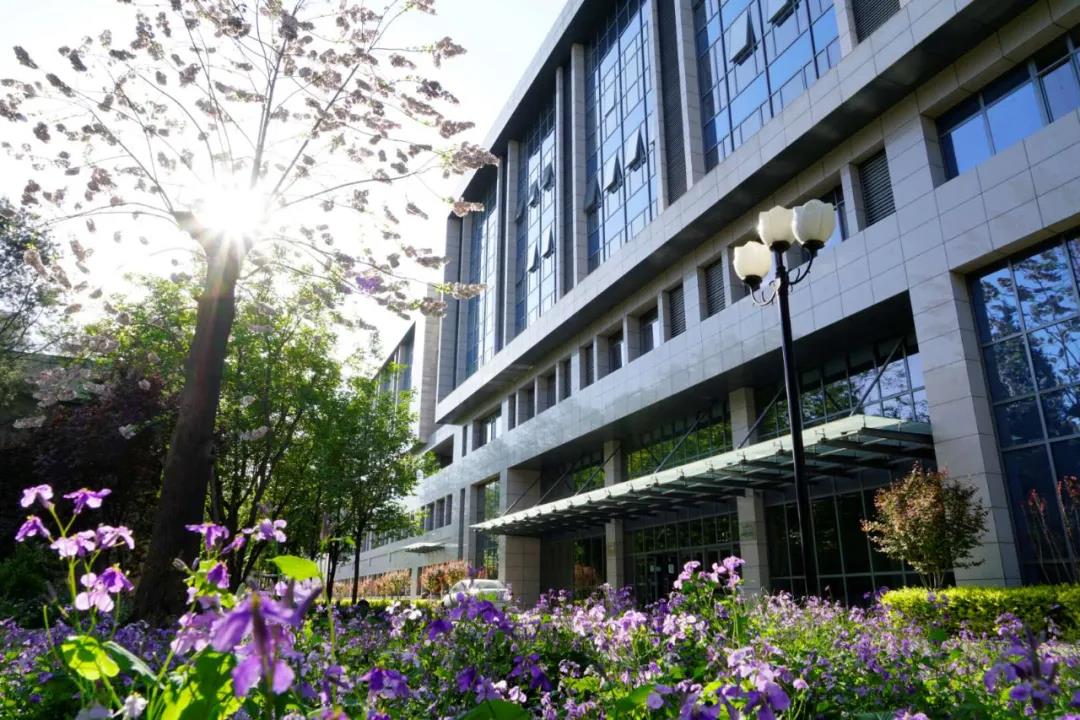 betway西汉姆联官网