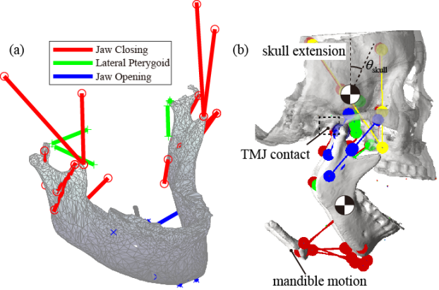 betway西汉姆联官网