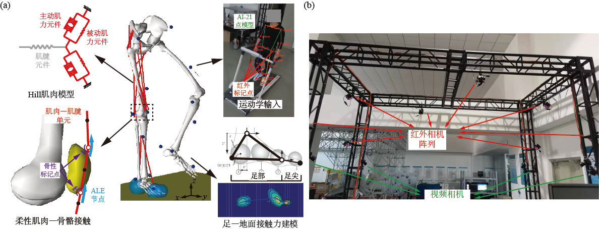 betway西汉姆联官网