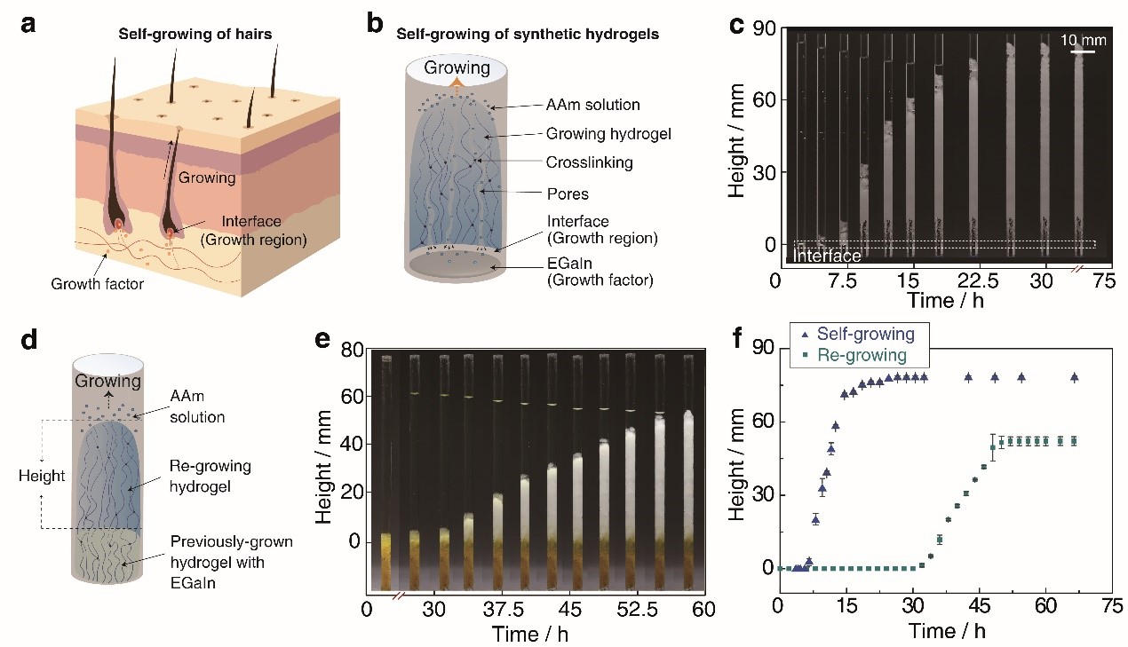 betway西汉姆联官网