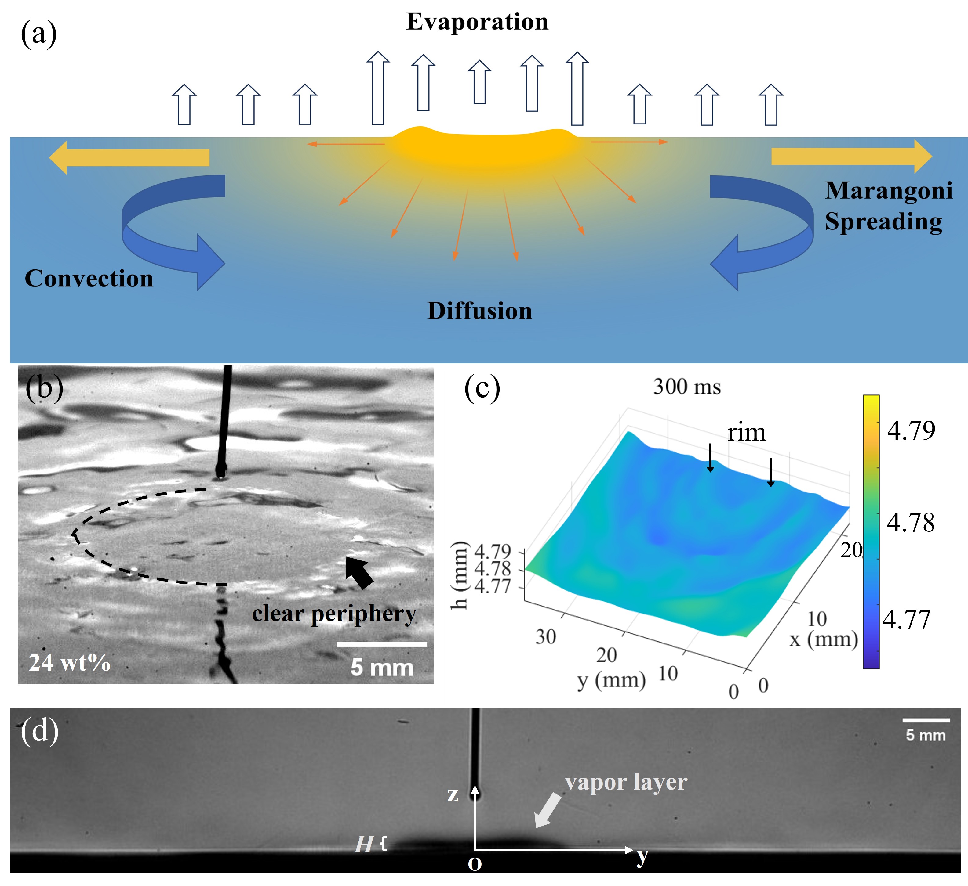 betway西汉姆联官网