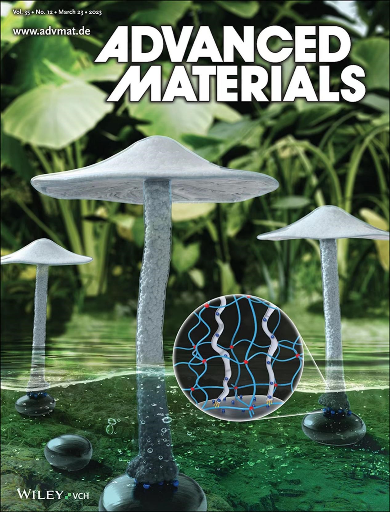 betway西汉姆联官网