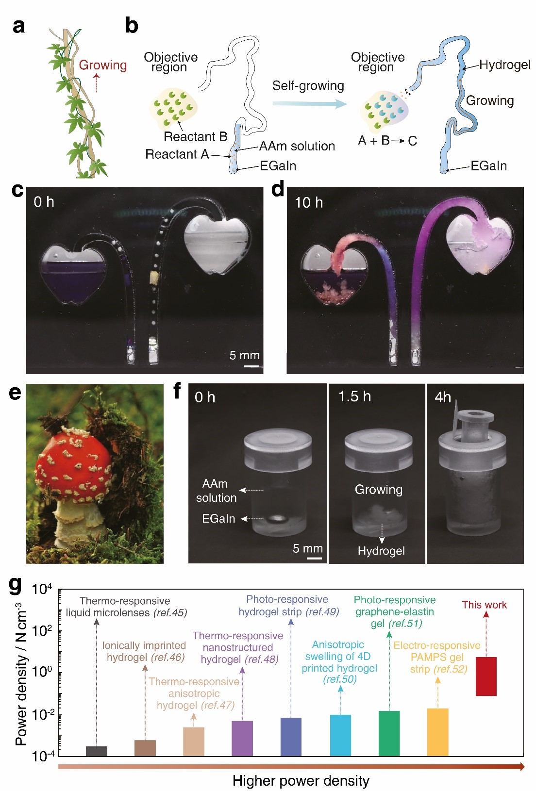 betway西汉姆联官网