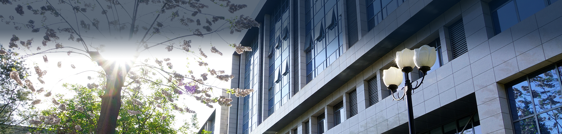 betway西汉姆联官网