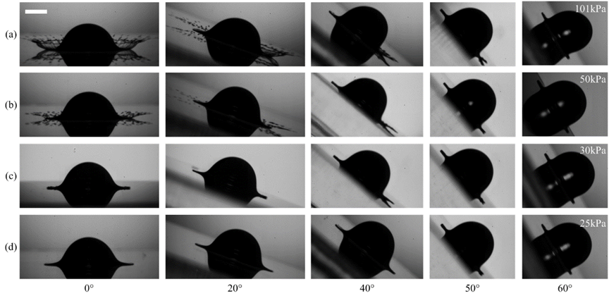 betway西汉姆联官网