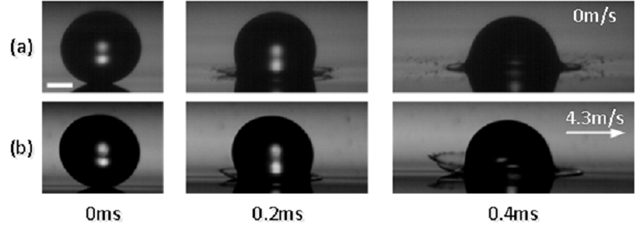 betway西汉姆联官网